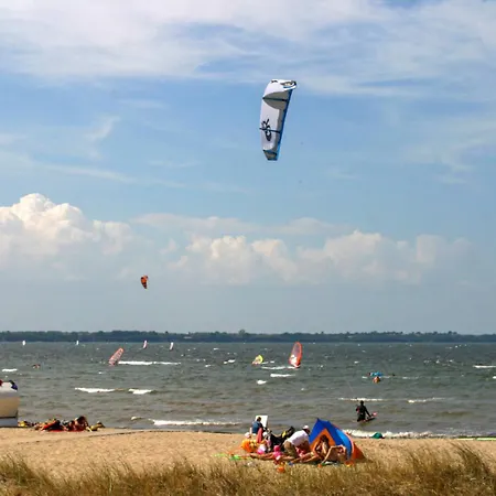 Kuestenseeschwalbe *