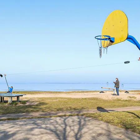 Kuestenseeschwalbe * Zierow