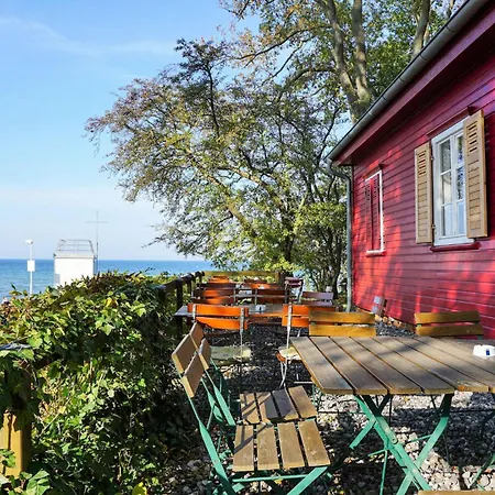 Kuestenseeschwalbe Zierow