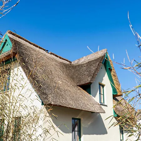 Kuestenseeschwalbe * Zierow