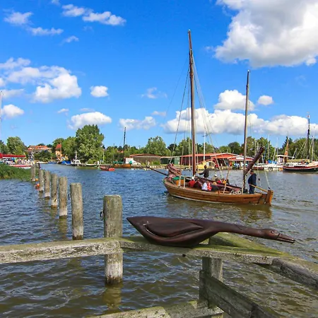 Kuestenseeschwalbe